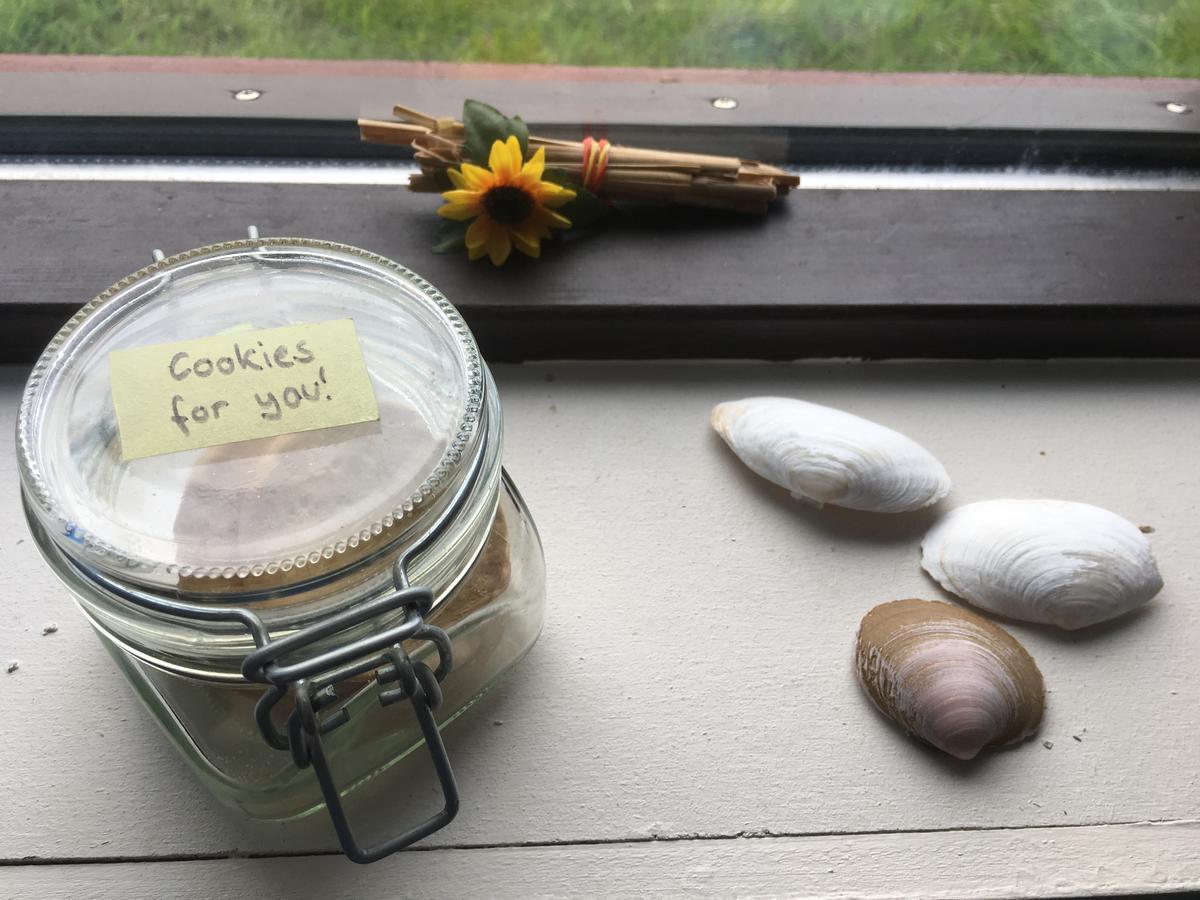 Dynjandi Guesthouse 霍芬 外观 照片